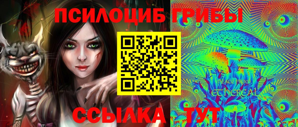 Галлюциногенные грибы MAGIC MUSHROOMS Грязи