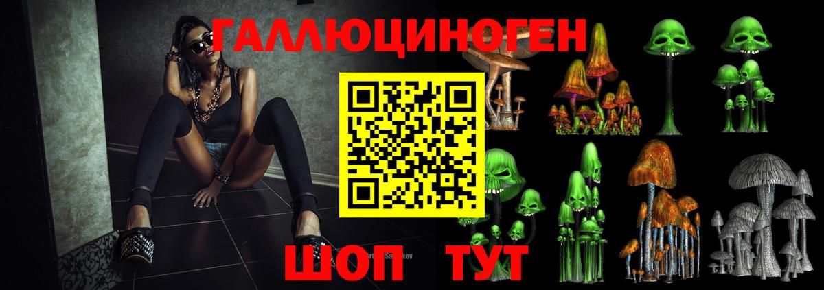 Грязи  Псилоцибиновые грибы Cubensis  Вход с VPN 